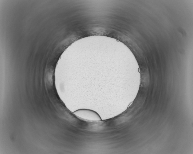 X0000110860334200907301357