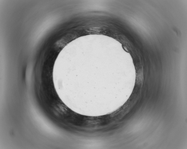 X0000110860335200907301357