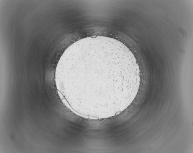 X0000110860336200907301357