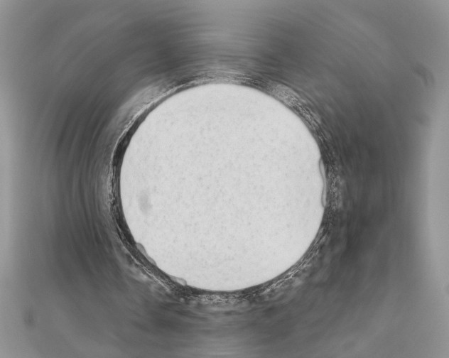 X0000110860338200907301356