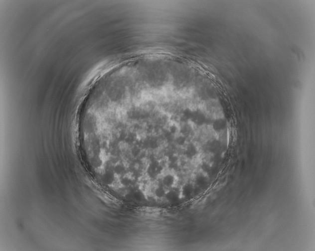 X0000110860339200907301356