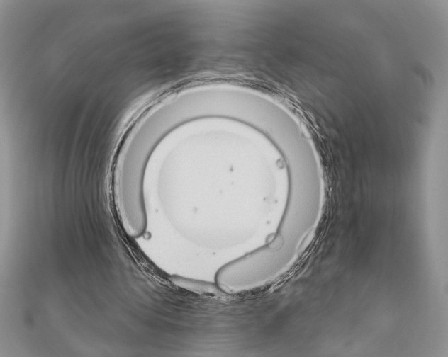 X0000110860340200907301356