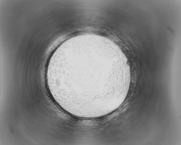 X0000110860341200907301356