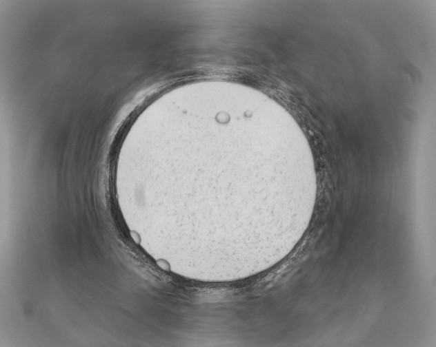 X0000110860342200907301356