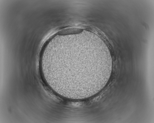 X0000110860344200907301356