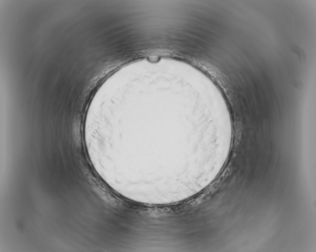 X0000110860345200907301356
