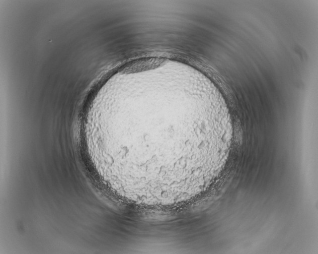 X0000110860347200907301356