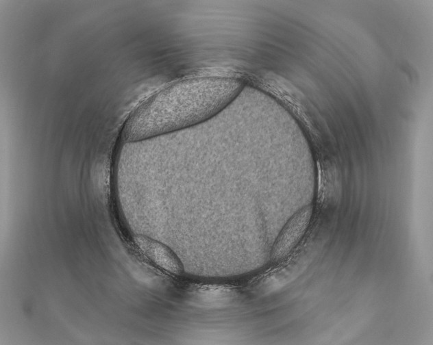 X0000110860348200907301356
