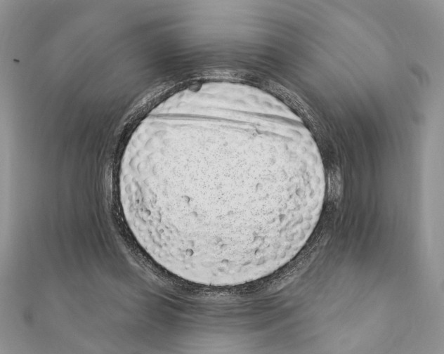 X0000110860349200907301356