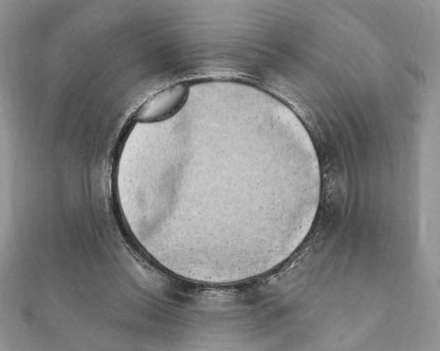 X0000110860350200907301356