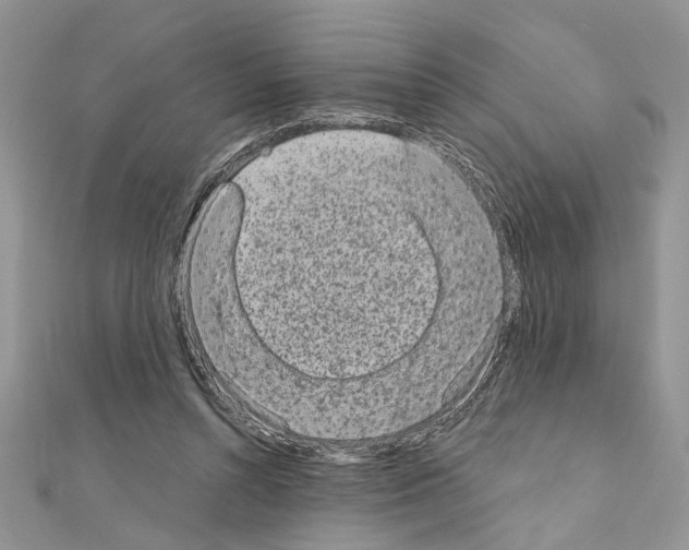 X0000110860352200907301356