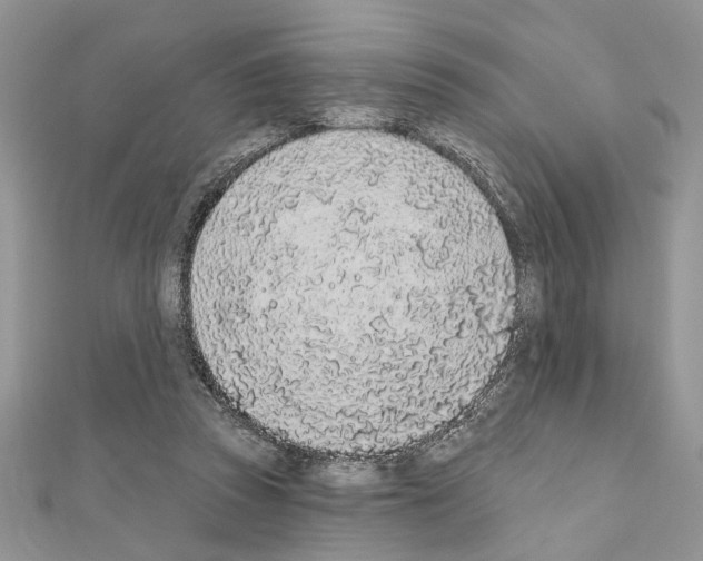 X0000110860353200907301356