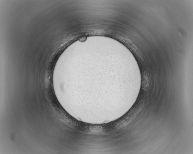 X0000110860355200907301356