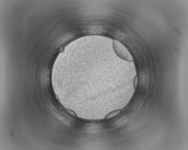 X0000110860356200907301356