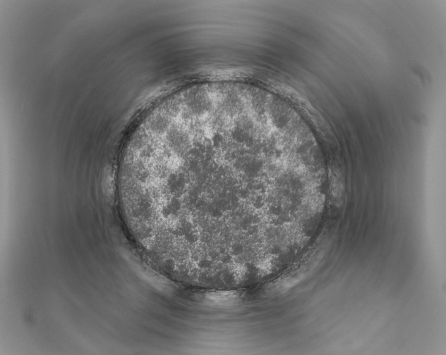 X0000110860357200907301356