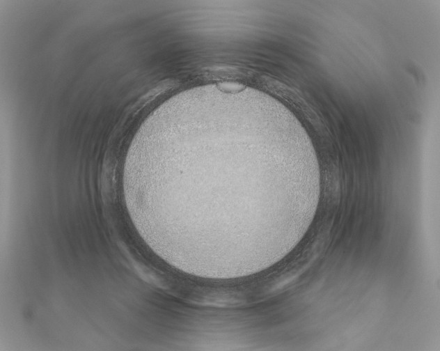 X0000110860360200907301356