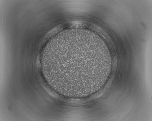 X0000110860361200907301356