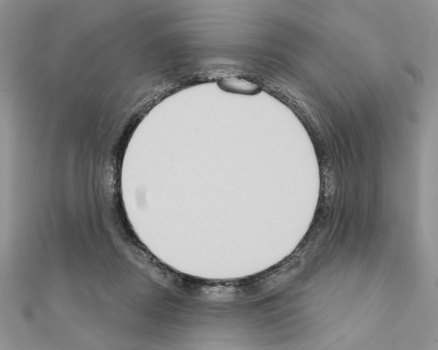 X0000110860362200907301356