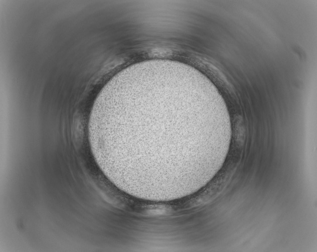 X0000110860363200907301357