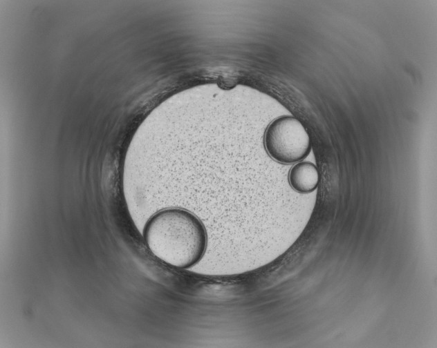 X0000110860364200907301357