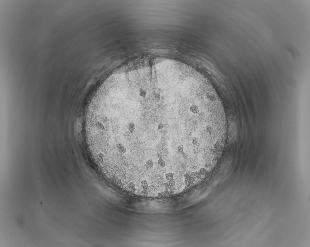 X0000110860365200907301357