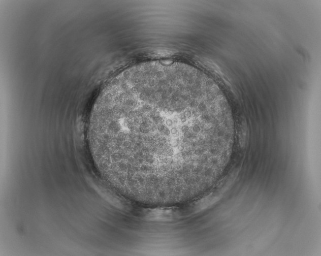 X0000110860366200907301357