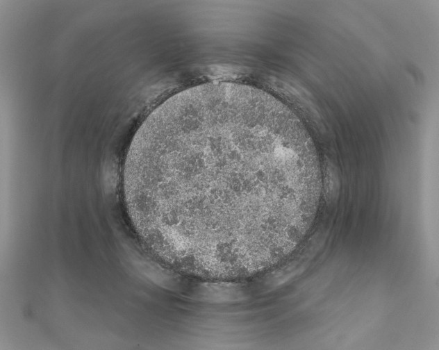 X0000110860367200907301357