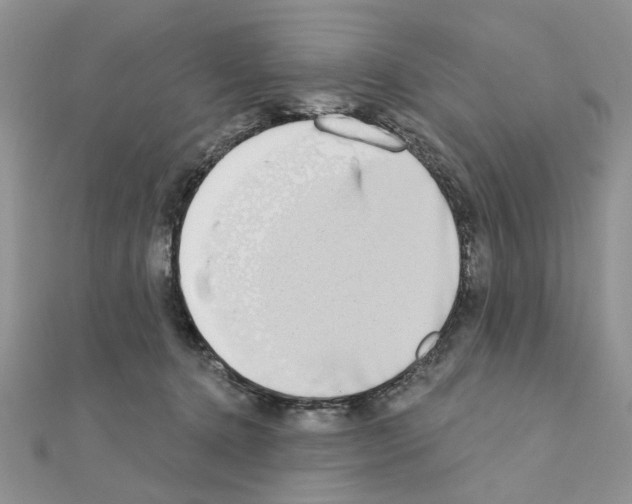 X0000110860368200907301357