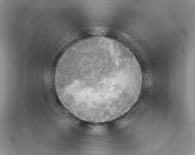 X0000110860370200907301357