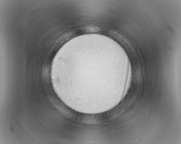 X0000110860373200907301357