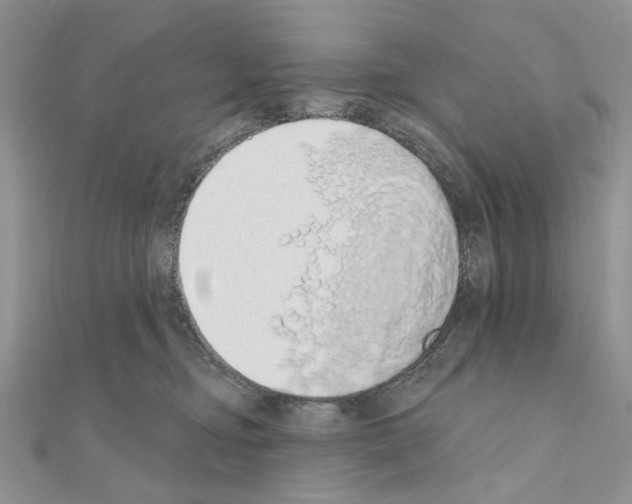 X0000110860374200907301357