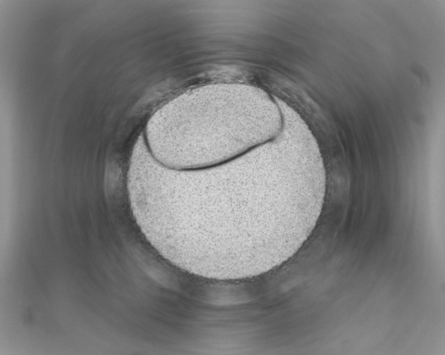 X0000110860375200907301357
