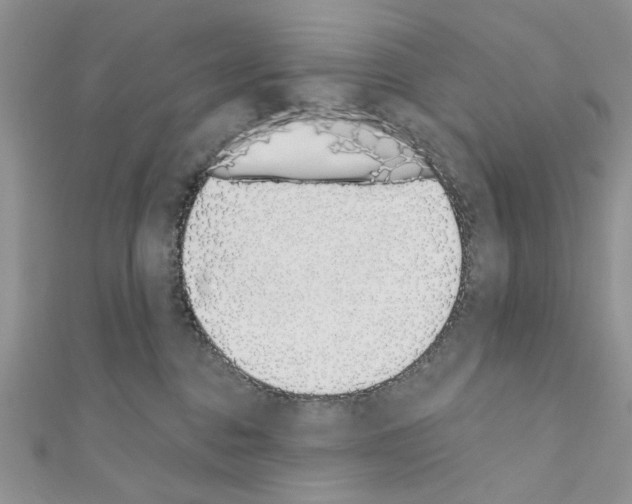 X0000110860376200907301357