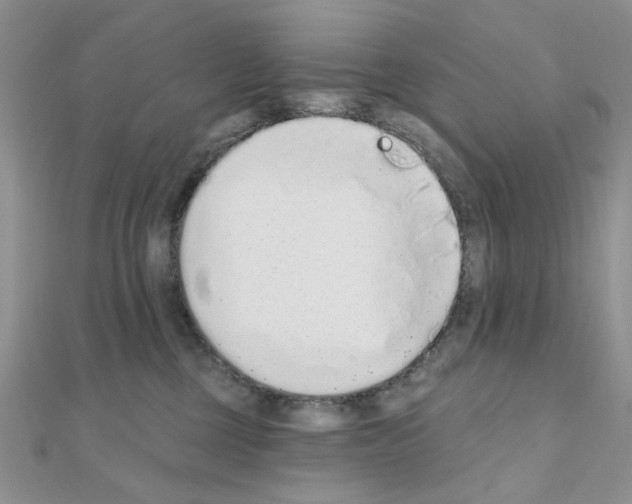 X0000110860377200907301357