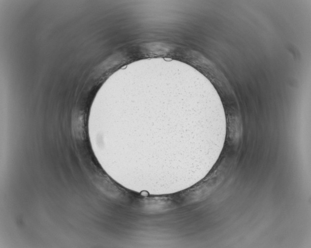 X0000110860378200907301357