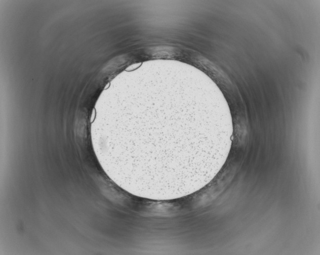 X0000110860379200907301357