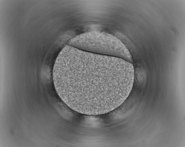 X0000110860380200907301357