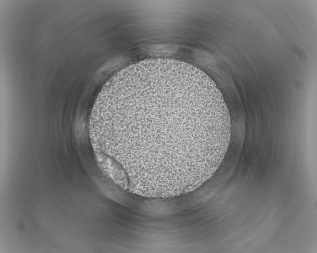 X0000110860381200907301357
