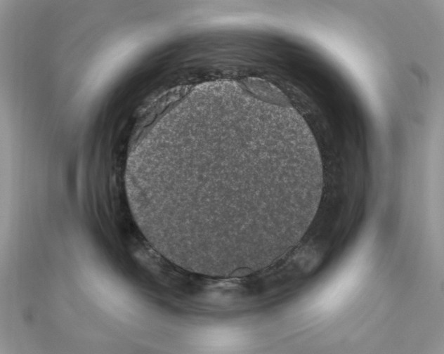 X0000110860382200907301357