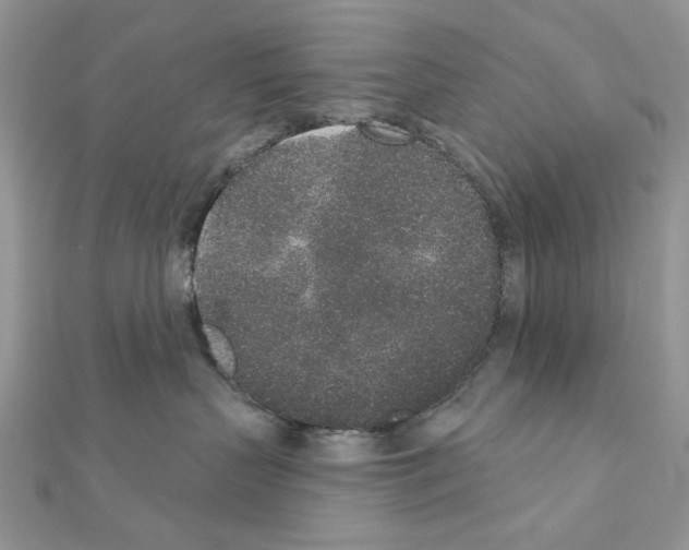 X0000110860383200907301357