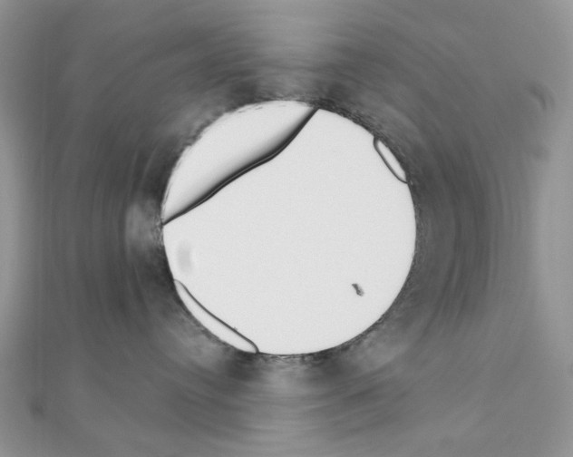 X0000110860384200907301357