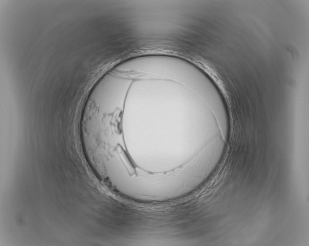 X0000110860385200907301356