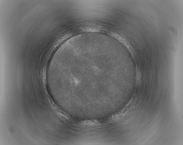 X0000110860386200907301356