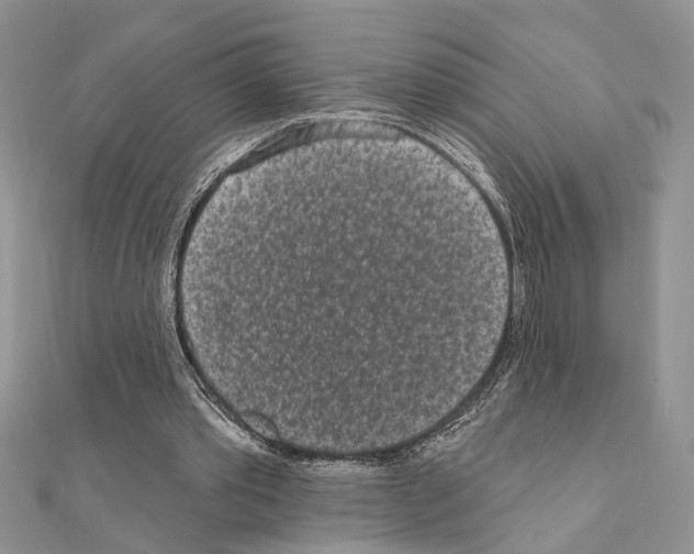 X0000110860389200907301356