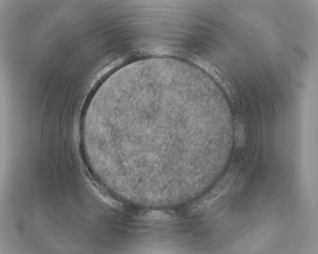 X0000110860390200907301356