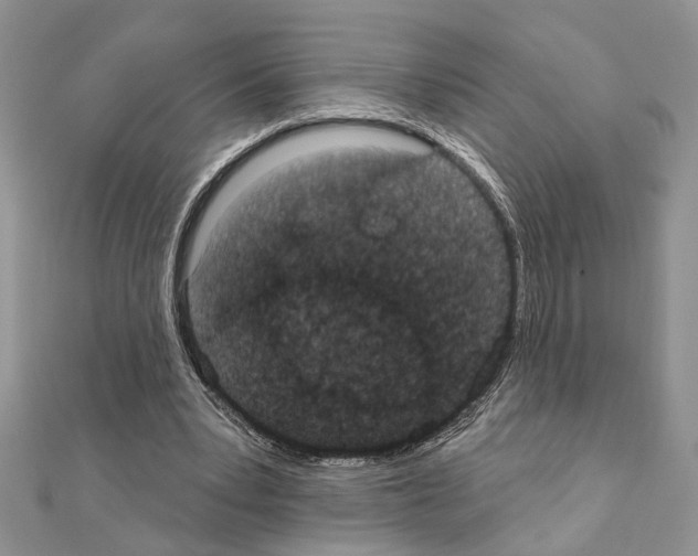 X0000110860391200907301356