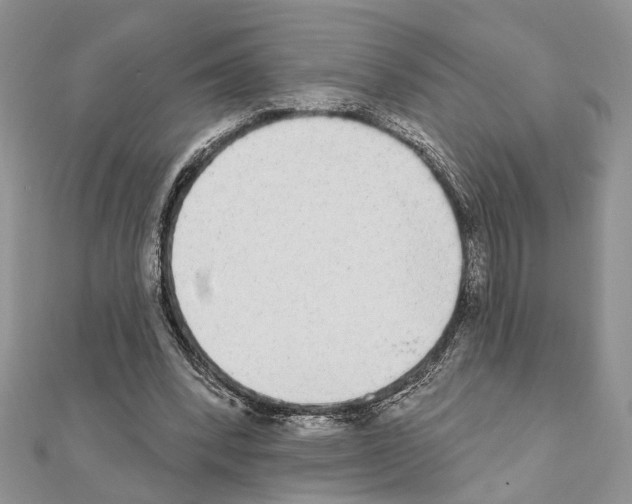 X0000110860392200907301356
