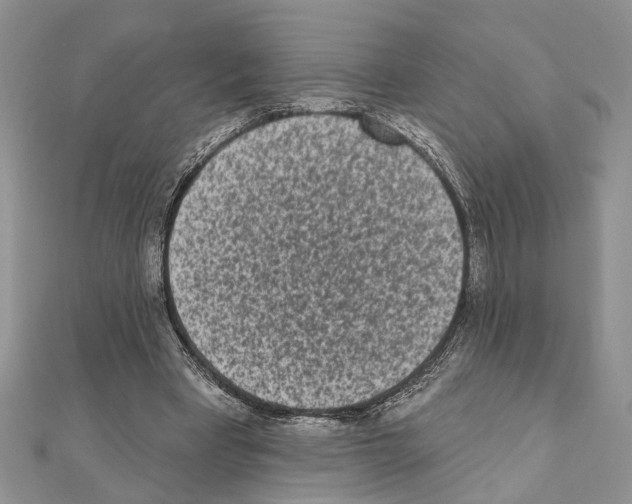 X0000110860393200907301356