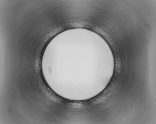 X0000110860394200907301356