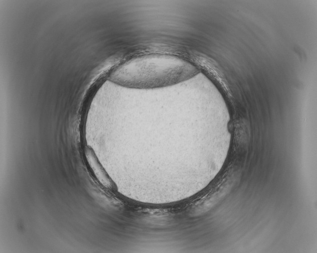 X0000110860395200907301356